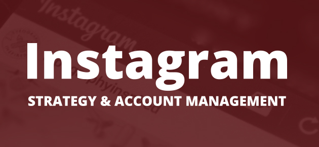 instagram management